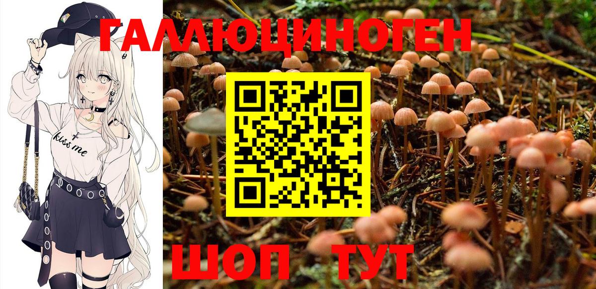 Псилоцибиновые грибы Psilocybine cubensis Новый Уренгой